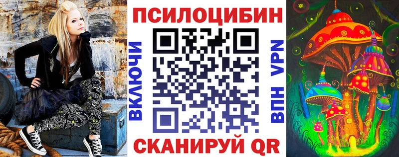 Галлюциногенные грибы Psilocybine cubensis  купить   кракен ССЫЛКА  Козьмодемьянск 